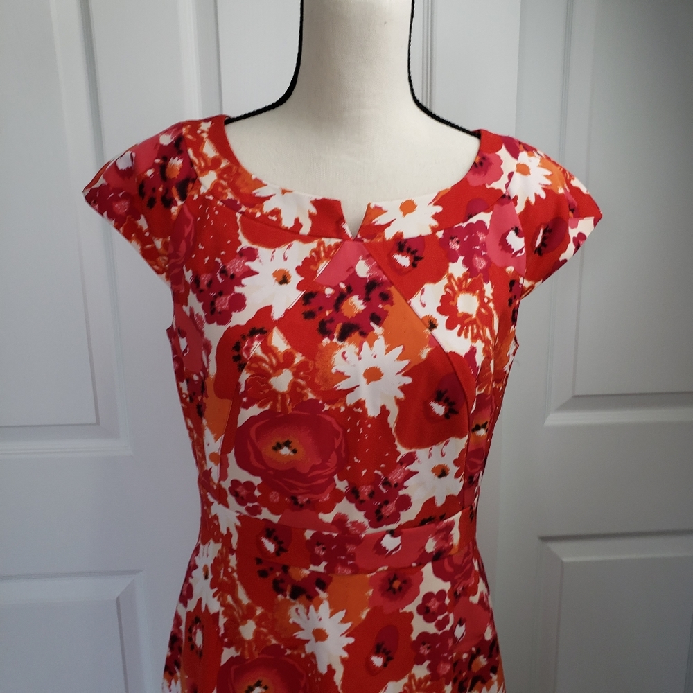 Isabella DeMarco Tahari Levine dress 6